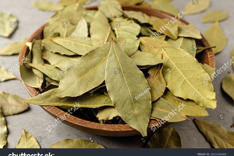 10 Manfaat daun salam bagi kesehatan tubuh, gak cuma buat masakan