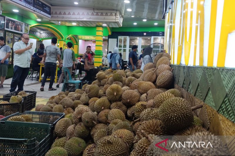 Pilihan oleh-oleh khas Medan selain Bolu Meranti